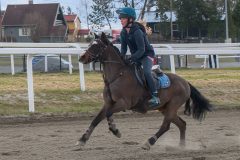 ponni-20230430_1.16.1