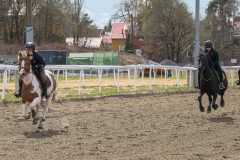ponni-20230430_1.17.1