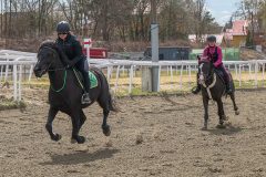 ponni-20230430_1.17.3