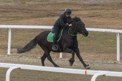 ponni-20230430_1.20.2