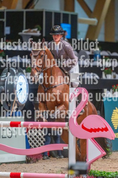 20251019-084047-DSC_6864