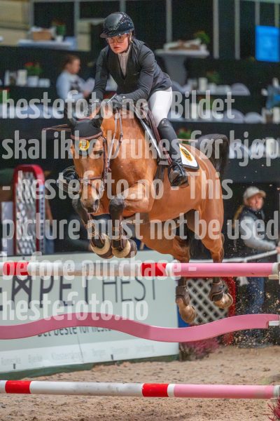 20251019-085617-DSC_7124