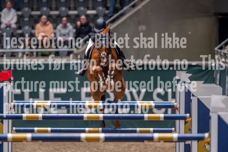 20241018-183312-2024-10-18-18-33-13-85-NIKON-Z-9