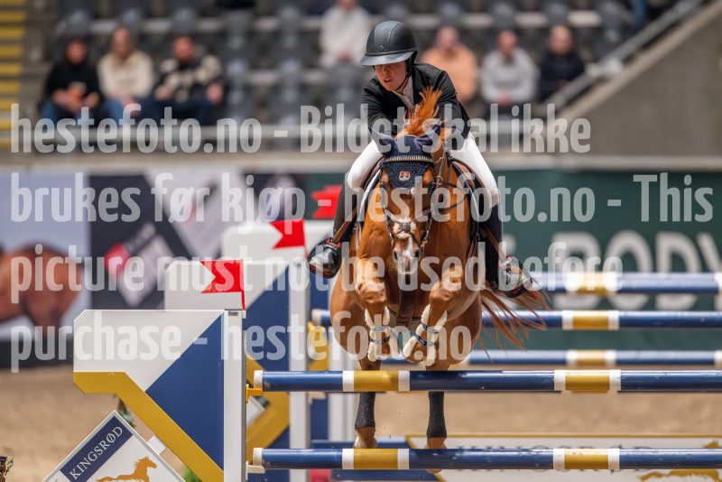 20241018-183315-2024-10-18-18-33-16-88-NIKON-Z-9
