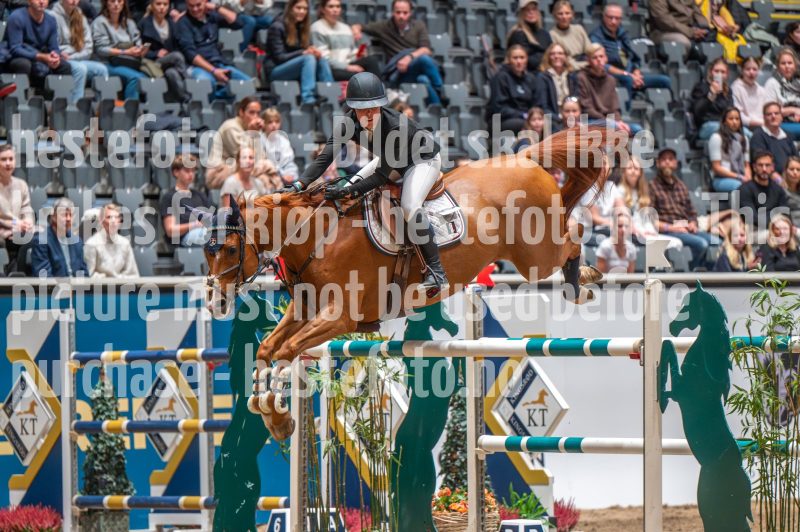 20241018-183338-2024-10-18-18-33-39-56-NIKON-Z-6-2