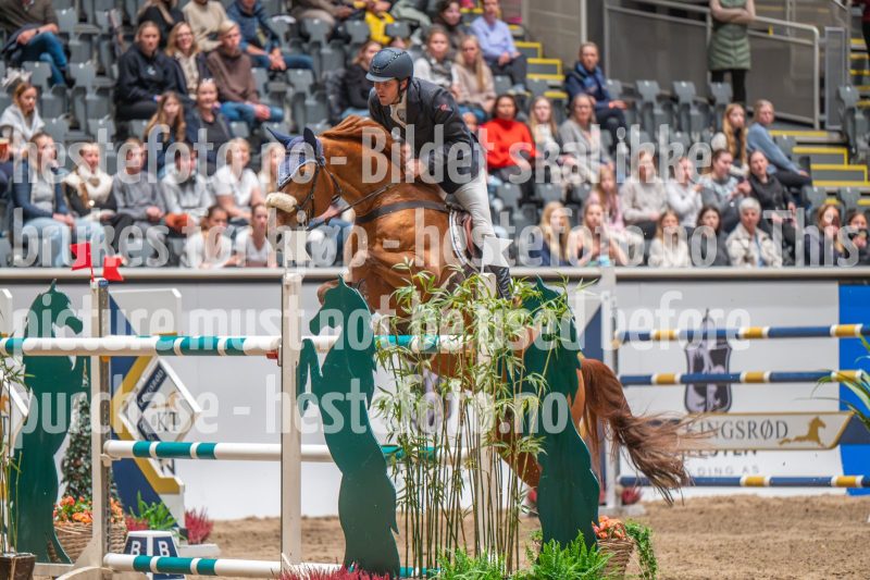 20241018-183520-2024-10-18-18-35-20-13-NIKON-Z-6-2