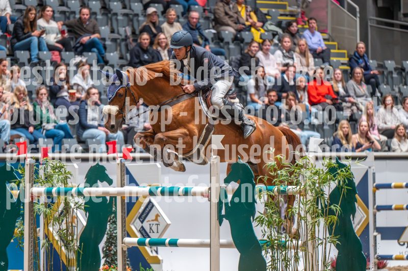 20241018-183520-2024-10-18-18-35-21-37-NIKON-Z-6-2
