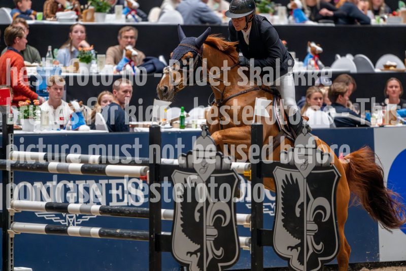 20241018-184019-2024-10-18-18-40-19-31-NIKON-Z-9