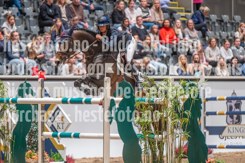 20241018-184251-2024-10-18-18-42-52-64-NIKON-Z-6-2