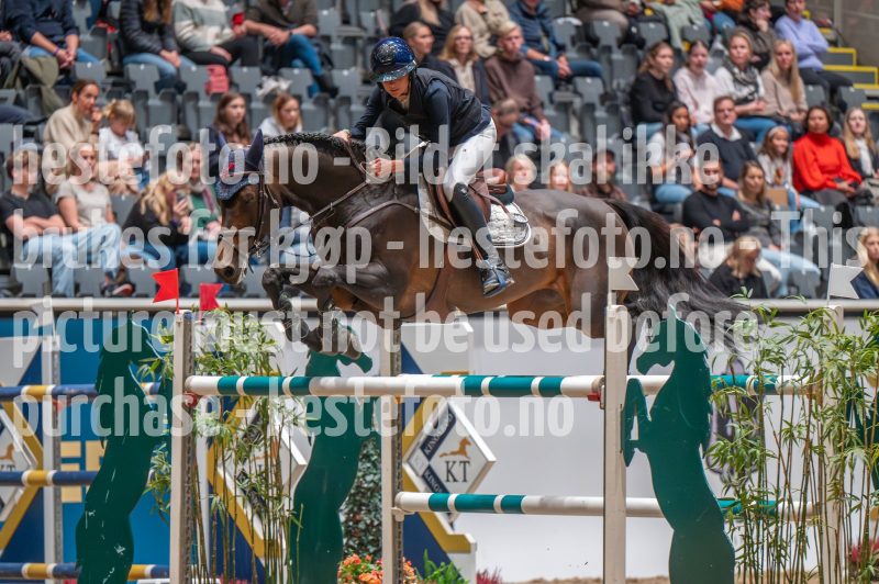 20241018-184251-2024-10-18-18-42-52-87-NIKON-Z-6-2