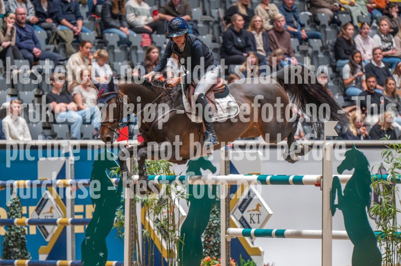 20241018-184251-2024-10-18-18-42-52-98-NIKON-Z-6-2