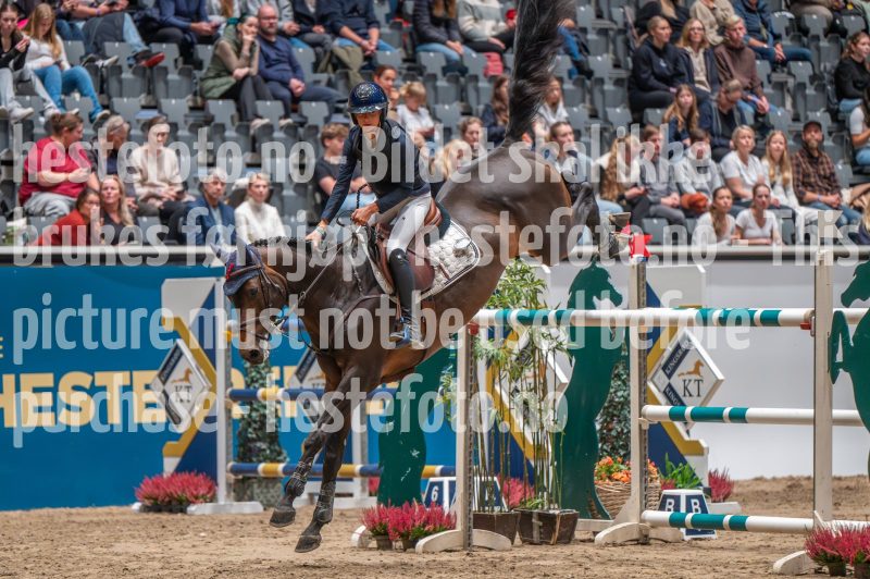 20241018-184252-2024-10-18-18-42-53-20-NIKON-Z-6-2