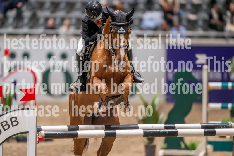 20241018-190501-2024-10-18-19-05-02-81-NIKON-Z-9