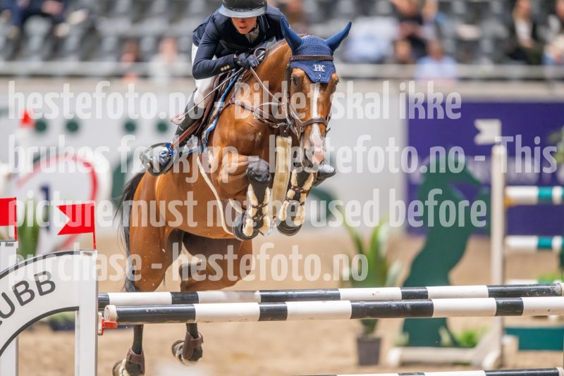 20241018-190812-2024-10-18-19-08-12-57-NIKON-Z-9