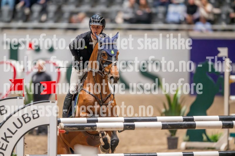 20241018-191859-2024-10-18-19-19-00-88-NIKON-Z-9