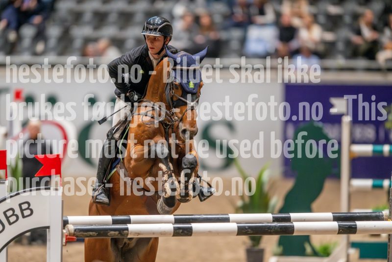 20241018-191900-2024-10-18-19-19-00-03-NIKON-Z-9