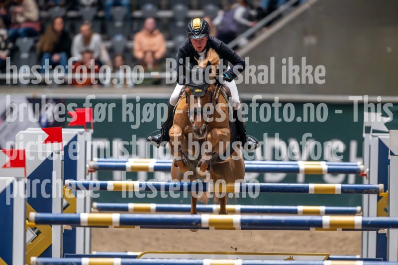 20241018-192757-2024-10-18-19-27-57-11-NIKON-Z-9