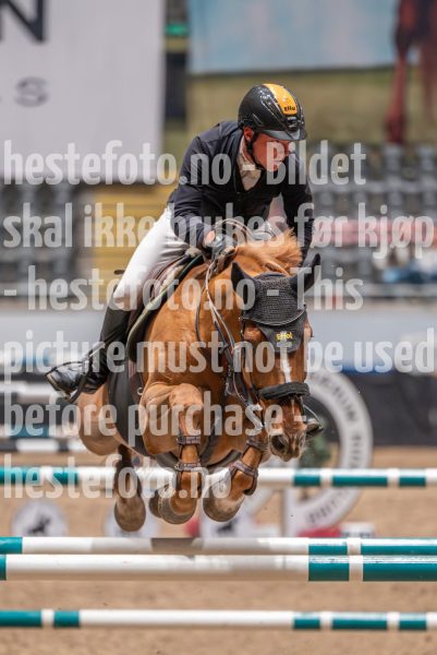 20241018-192820-2024-10-18-19-28-20-00-NIKON-Z-6-2