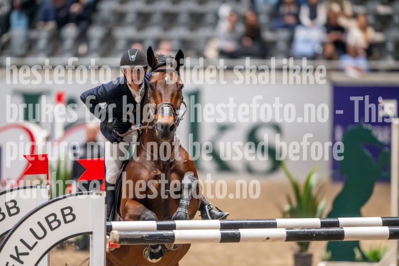20241018-192955-2024-10-18-19-29-55-40-NIKON-Z-9