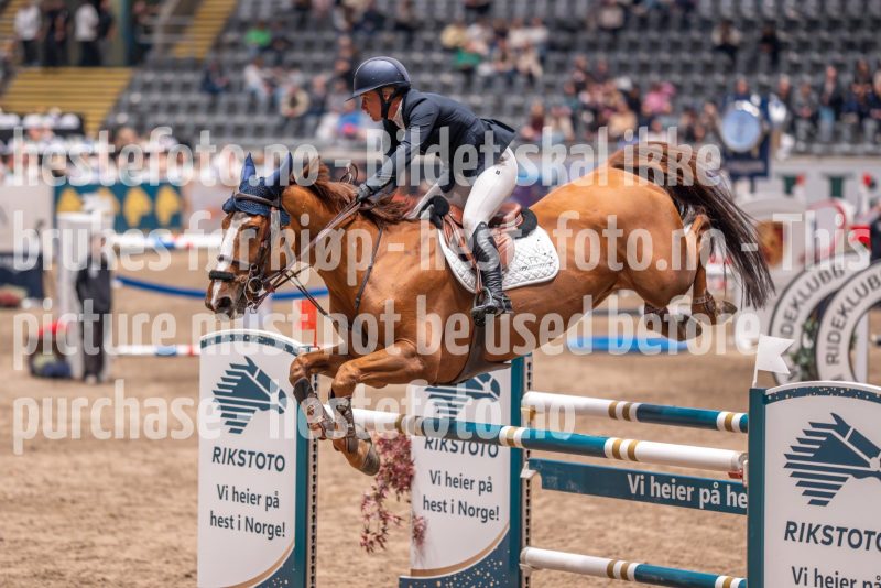 20241018-193315-2024-10-18-19-33-18-57-NIKON-Z-7