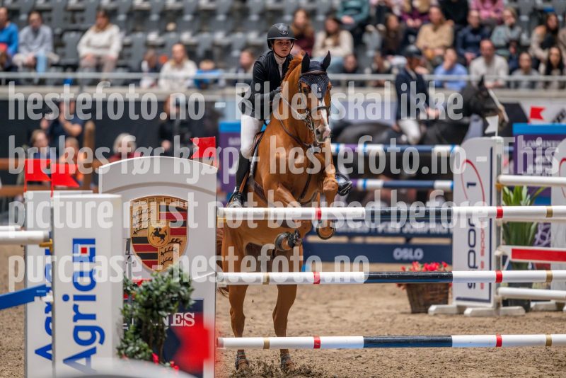 20241018-194104-2024-10-18-19-41-04-00-NIKON-Z-9