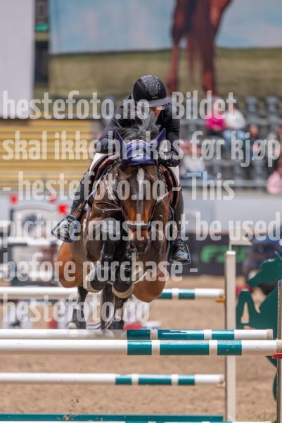 20241018-194436-2024-10-18-19-44-37-63-NIKON-Z-6-2