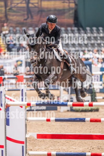 20241018-194519-2024-10-18-19-45-19-02-NIKON-Z-6-2