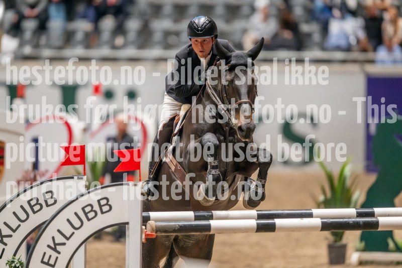 20241018-194604-2024-10-18-19-46-04-50-NIKON-Z-9