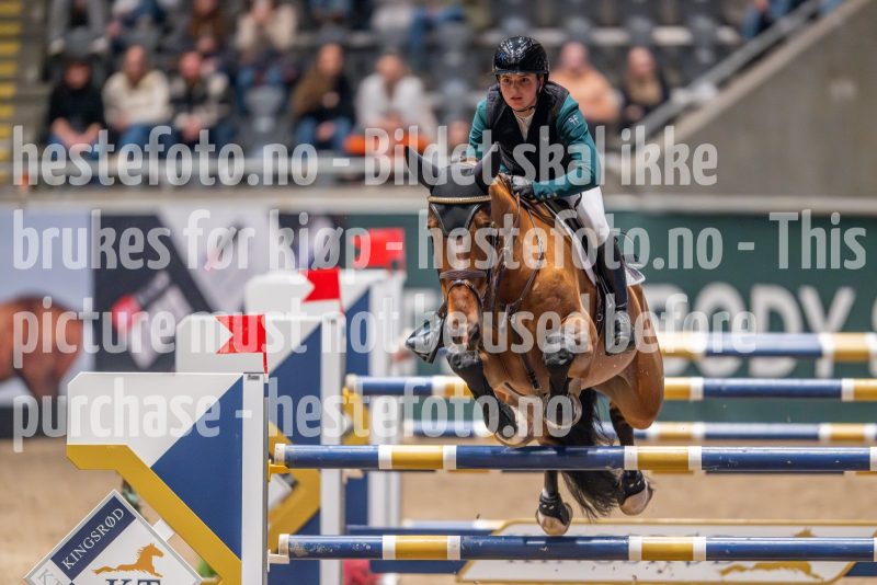 20241018-194920-2024-10-18-19-49-20-25-NIKON-Z-9