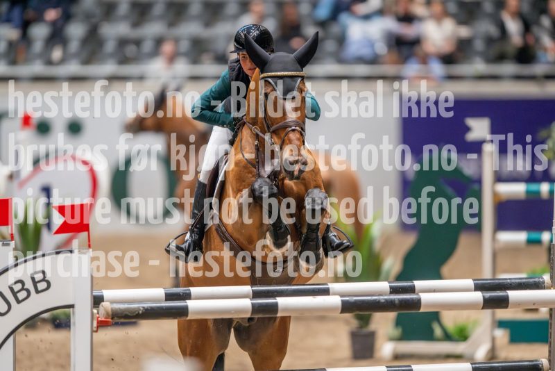 20241018-194948-2024-10-18-19-49-48-18-NIKON-Z-9