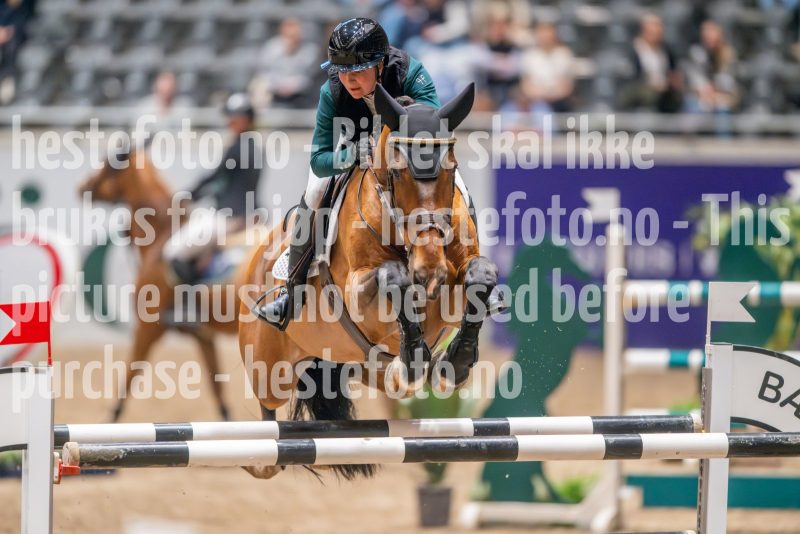 20241018-194948-2024-10-18-19-49-48-38-NIKON-Z-9