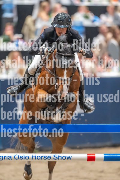 20241019-203511-2024-10-19-20-35-11-29-NIKON-Z-9
