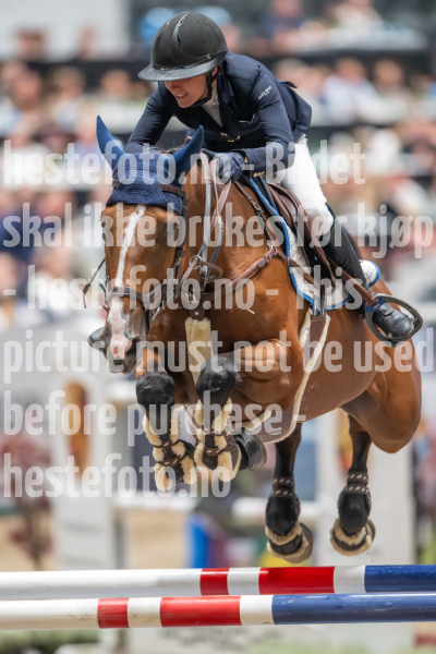 20241019-203653-2024-10-19-20-36-53-07-NIKON-Z-9