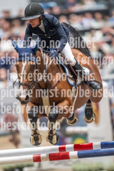 20241019-203653-2024-10-19-20-36-53-16-NIKON-Z-9