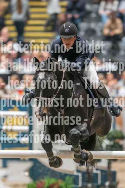 20241019-204234-2024-10-19-20-42-35-93-NIKON-Z-9