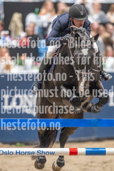 20241019-204303-2024-10-19-20-43-03-32-NIKON-Z-9