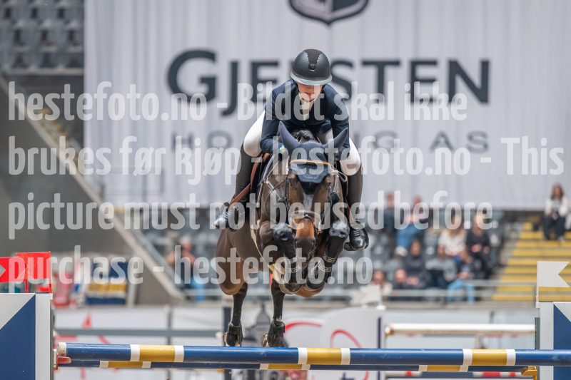 20241019-204610-2024-10-19-20-46-11-90-NIKON-Z-6-2