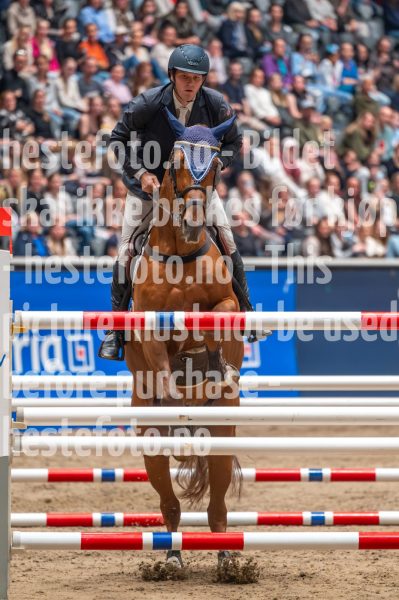 20241019-204853-2024-10-19-20-48-54-59-NIKON-Z-6-2