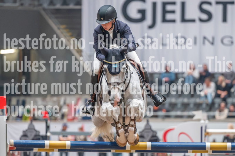 20241019-205238-2024-10-19-20-52-39-80-NIKON-Z-6-2