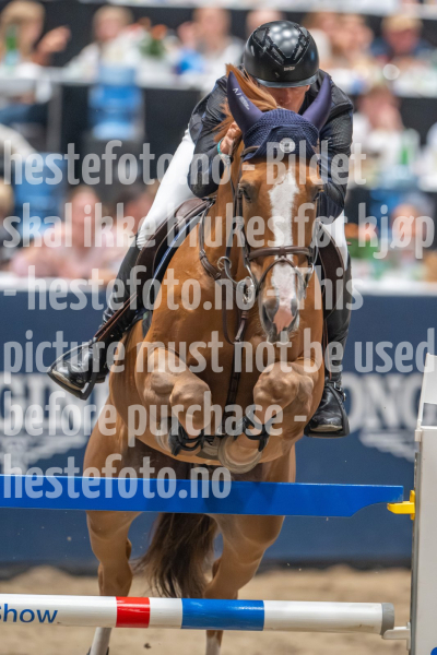 20241019-210236-2024-10-19-21-02-37-55-NIKON-Z-9