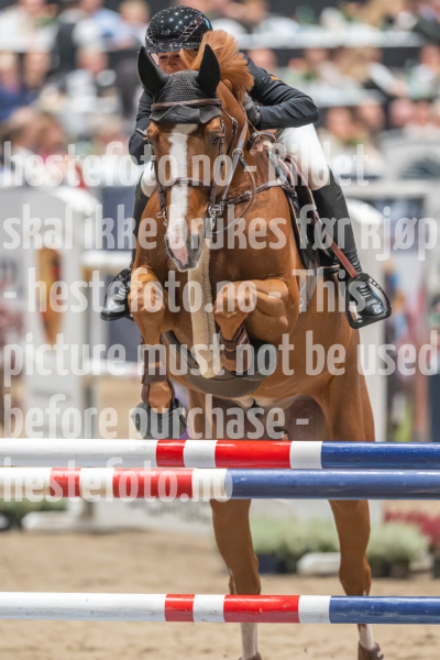 20241019-210957-2024-10-19-21-09-57-34-NIKON-Z-9