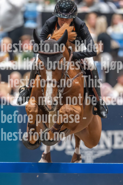20241019-211024-2024-10-19-21-10-25-88-NIKON-Z-9