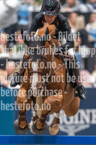 20241019-211024-2024-10-19-21-10-25-94-NIKON-Z-9