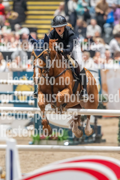 20241019-211152-2024-10-19-21-11-53-64-NIKON-Z-9