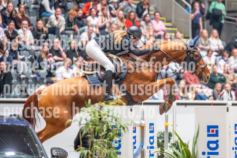 20241019-211155-2024-10-19-21-11-55-07-NIKON-Z-6-2