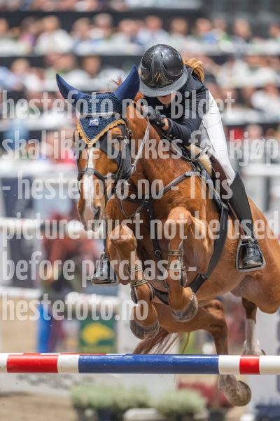 20241019-211155-2024-10-19-21-11-55-08-NIKON-Z-9