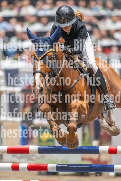 20241019-211155-2024-10-19-21-11-55-17-NIKON-Z-9