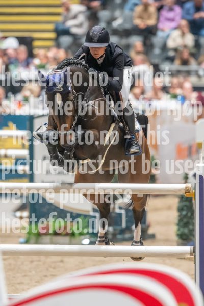 20241019-211358-2024-10-19-21-13-59-78-NIKON-Z-9