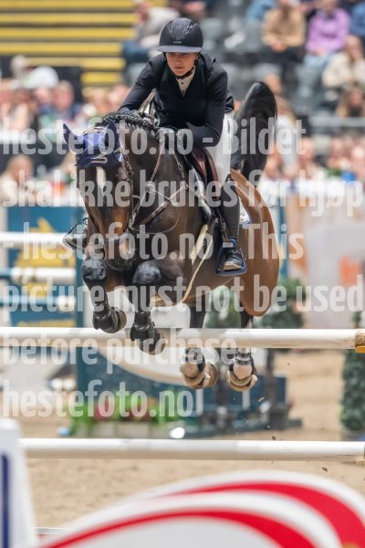 20241019-211358-2024-10-19-21-13-59-88-NIKON-Z-9