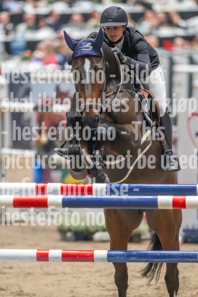 20241019-211401-2024-10-19-21-14-01-19-NIKON-Z-9